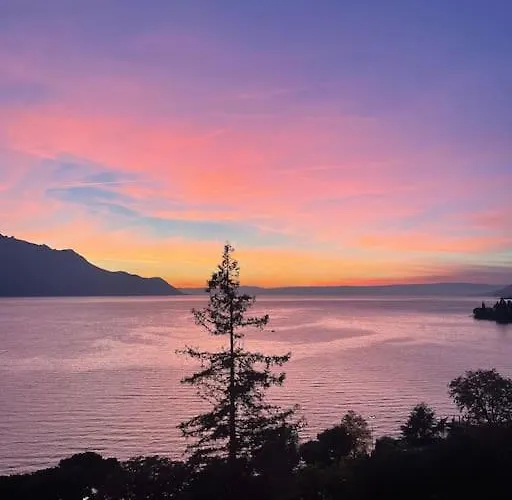 Luxury Montreux 아파트